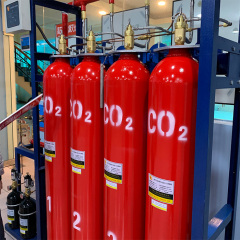 70L 5.7MPa CO2 gas fire suppression system,Guangdong Zhenxinglian Fire Protection Equipment Co., Ltd.,70L 5.7MPa CO2 gas fire suppression system