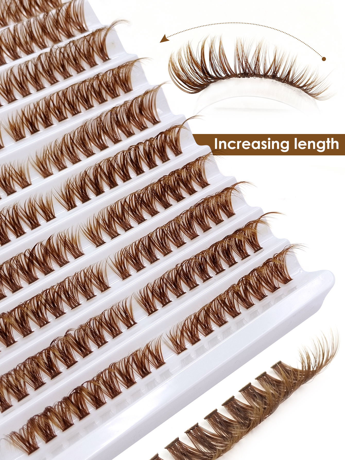 Sibeuna 180pcs Brown Cluster Eyelash D Curl 60D Brown Lashes 8-16mm Increasing Length Individual Lashes Natural Look Winged Lashes Enlarge Your Eyes, Suitable for Daily Wear