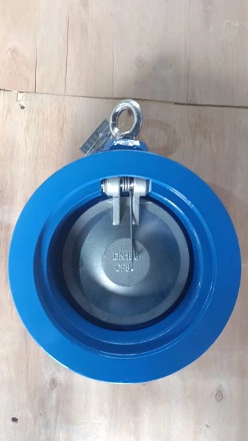 Single Door Check Valve PN16,hebei diefei valve co., ltd,Single Door Check Valve PN16