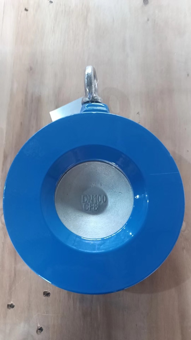 Single Door Check Valve PN16,hebei diefei valve co., ltd,Single Door Check Valve PN16