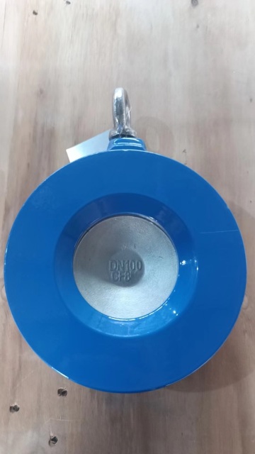 Single Door Check Valve PN16,hebei diefei valve co., ltd,Single Door Check Valve PN16