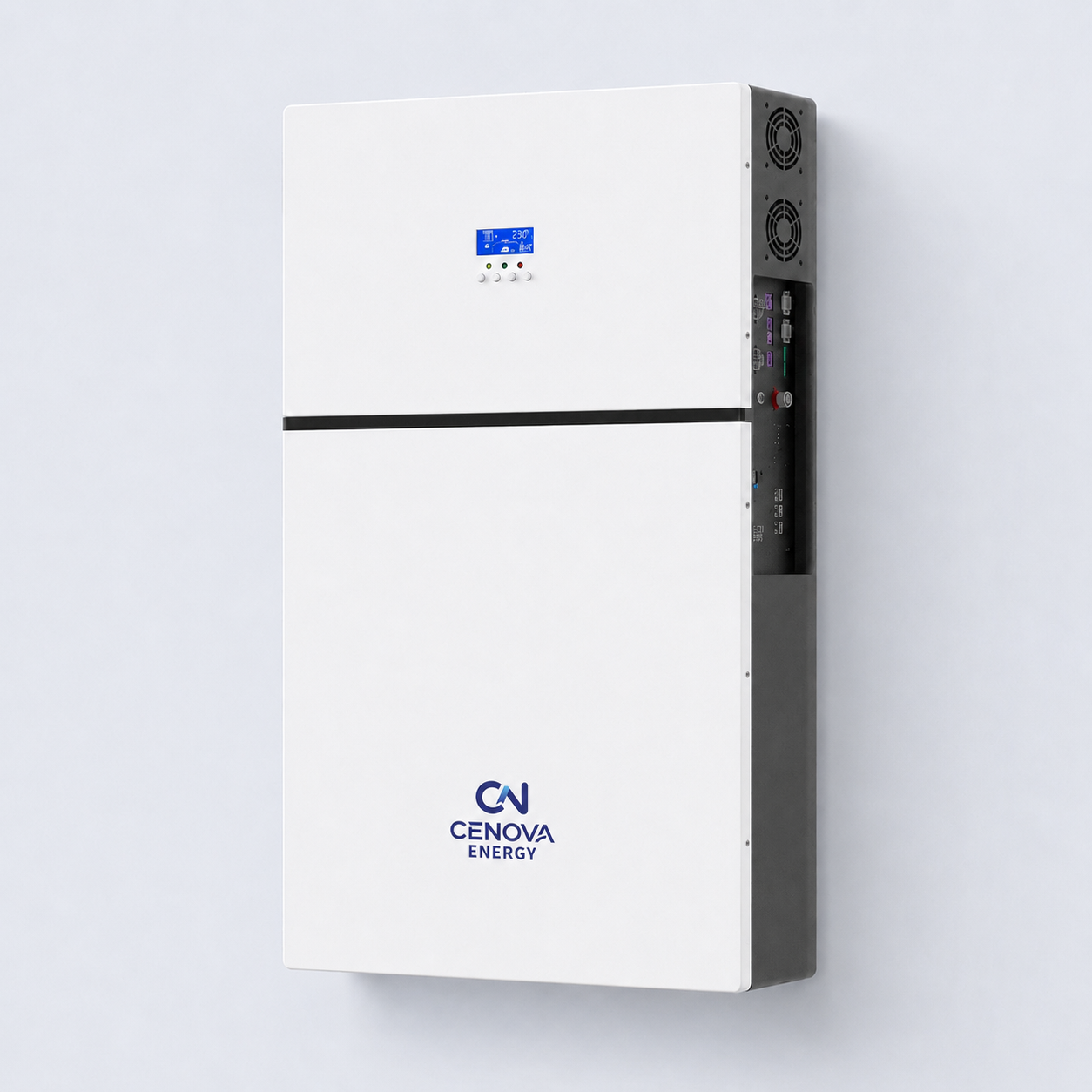 Wall-Mounted Battery
