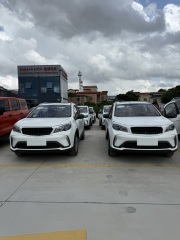 Livan X3 PRO (Maple X3 PRO),CheTuan Wang,Livan X3 PRO (Maple X3 PRO)