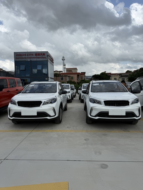 Livan X3 PRO (Maple X3 PRO),CheTuan Wang,Livan X3 PRO (Maple X3 PRO)
