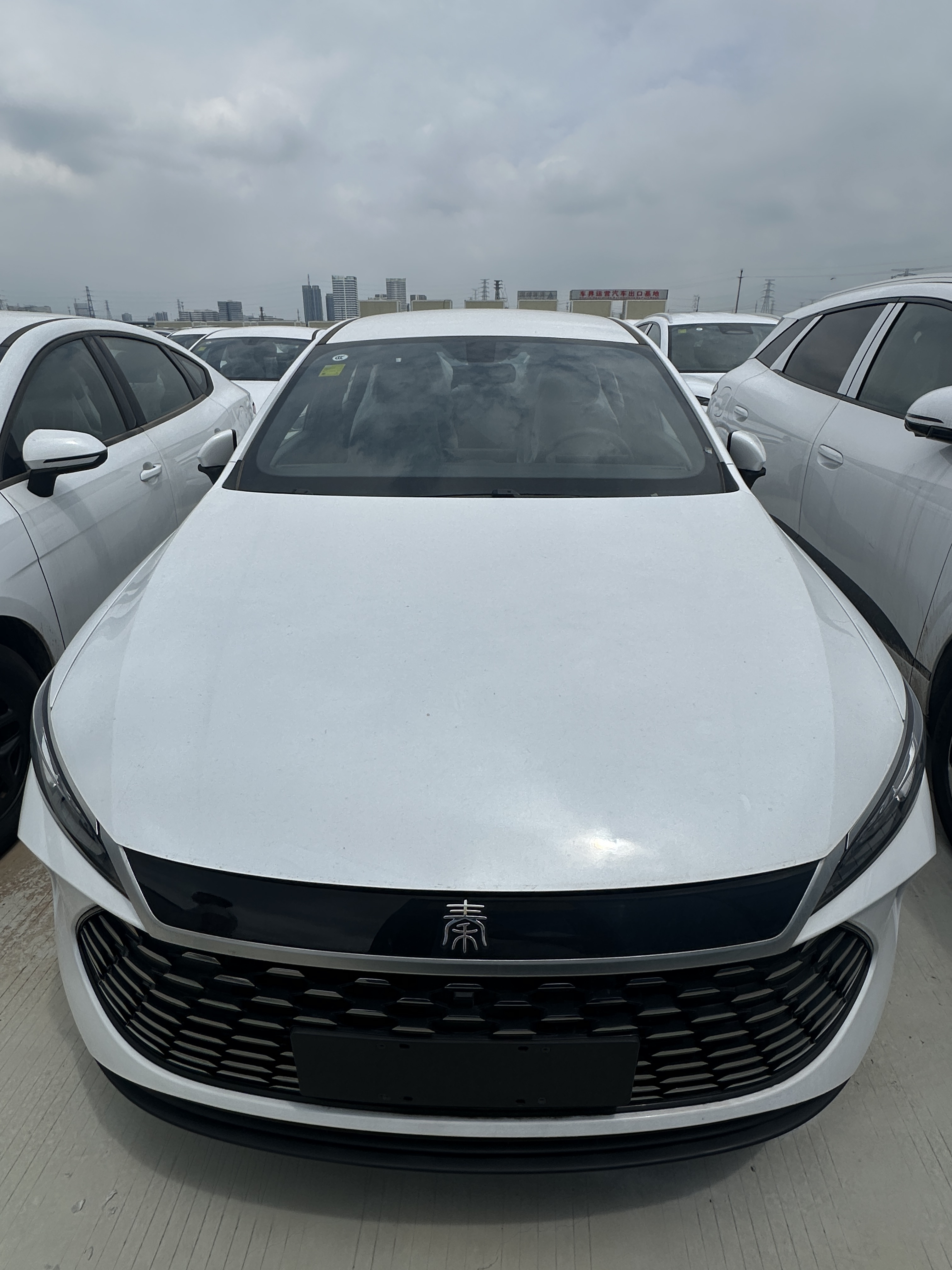 BYD Qin PLUS DM-i,CheTuan Wang,BYD Qin PLUS DM-i