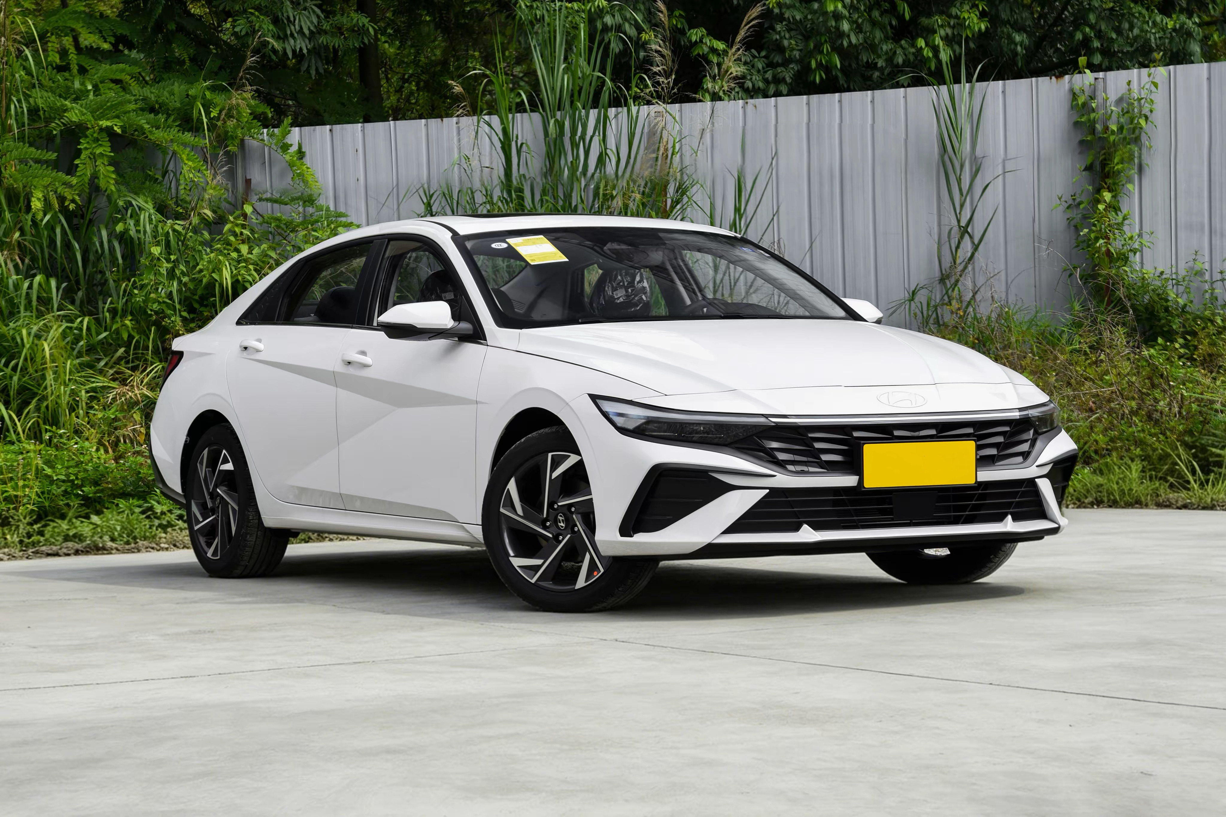 Hyundai Elantra,CheTuan Wang,Hyundai Elantra-CheTuan Wang