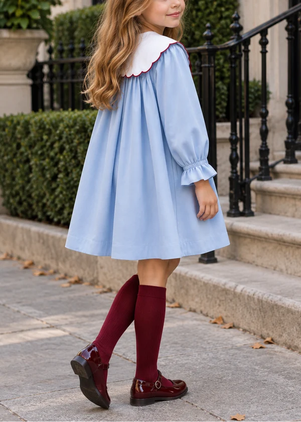 Girls Light Blue Peter Pan Collar Dress with Burgundy Velvet Bow, Long Sleeve Kids Party Dress
