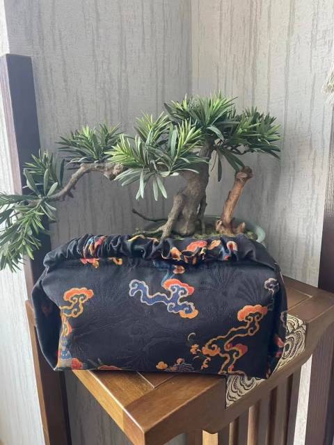 Silk Bag,LANKING TEX,Silk Bag