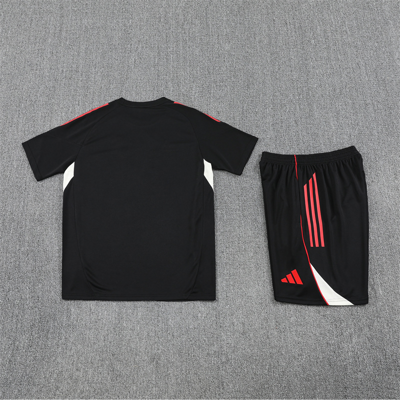 2025-26 liverpool Short Sleeve Kit