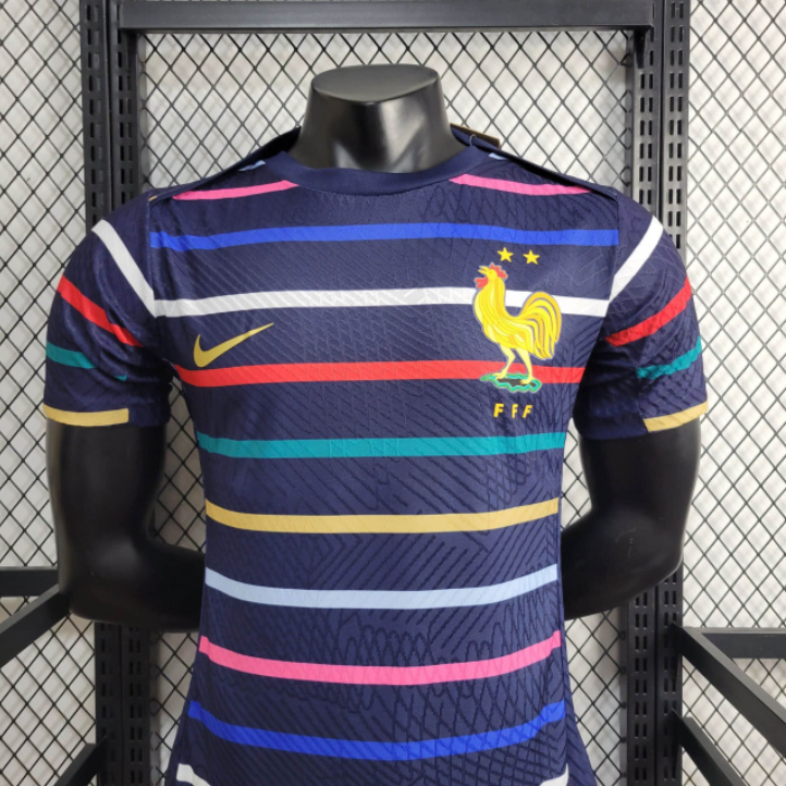 Player 2024-25 France Training Football jersey