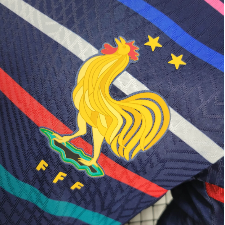Player 2024-25 France Training Football jersey