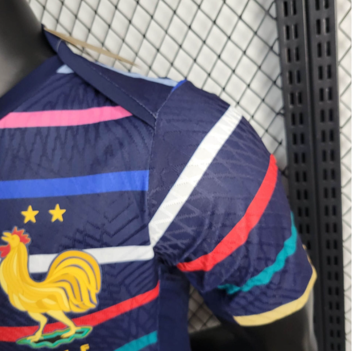 Player 2024-25 France Training Football jersey