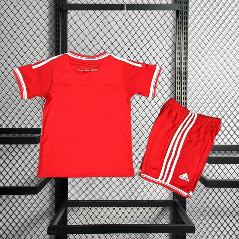 Retro kids 2012-13 KIDS Bayern Munchen Home Retro Champions League Football jersey