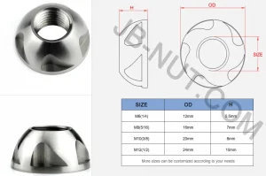 Torx anti-theft nut,MY SHOP,Torx anti-theft nut