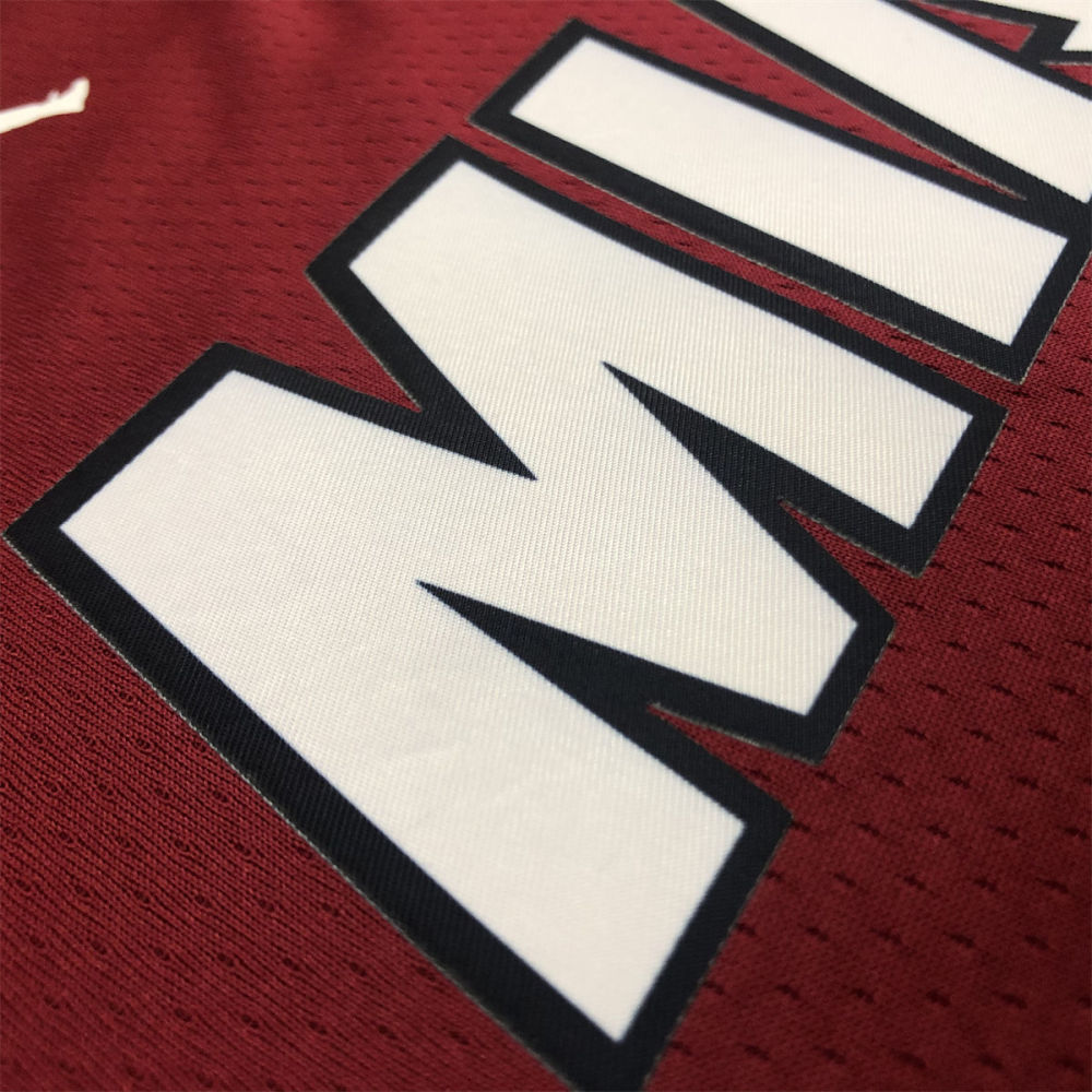 NBA Miami Hearts V-Neck Red Jersey JAMES#6 S-XXL