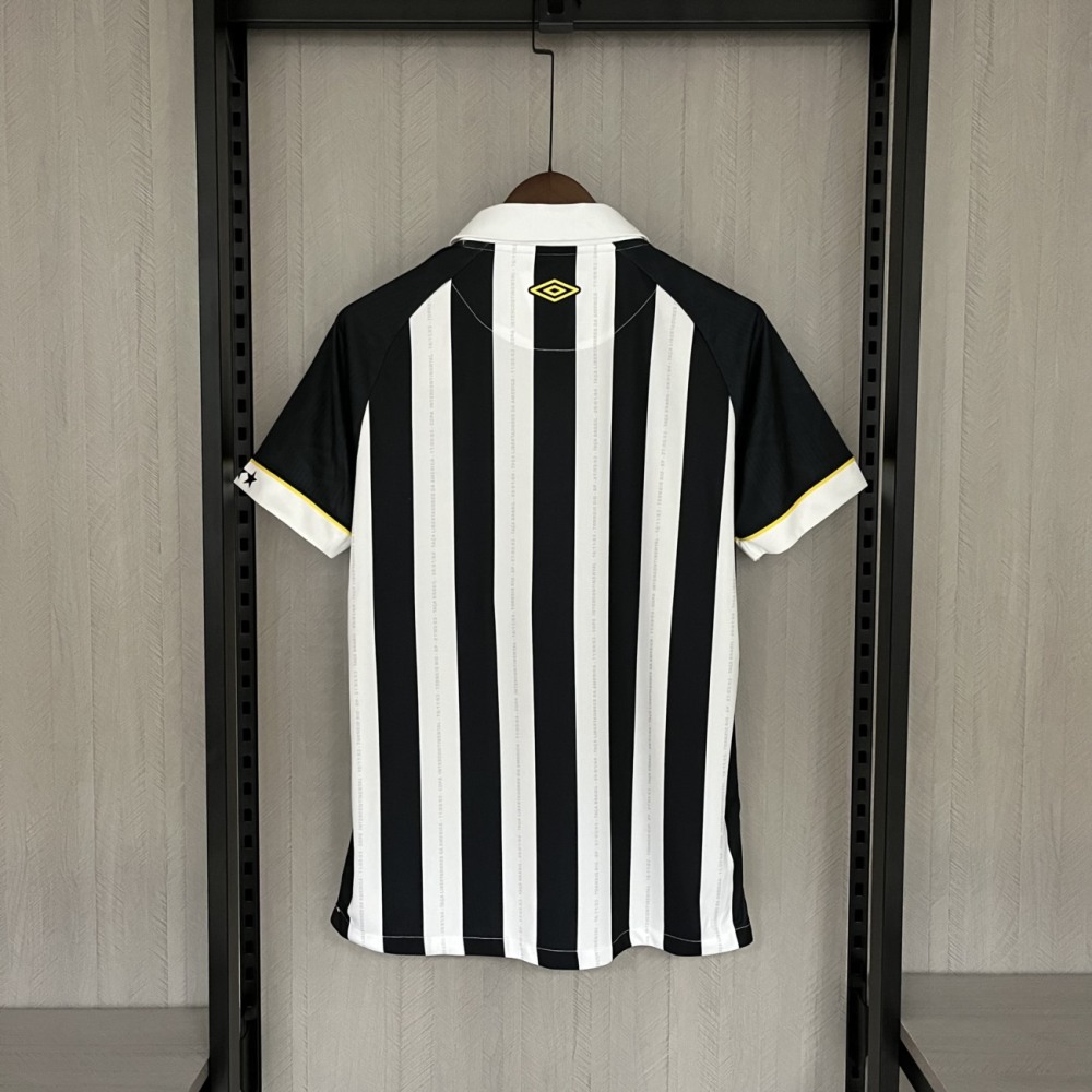 2023/24 Santos Away jersey Fan Version