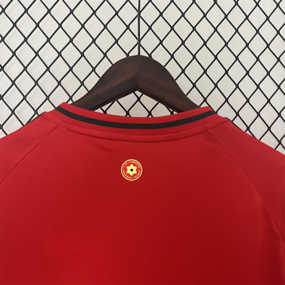 2024 Wales Home Jersey Fan Version