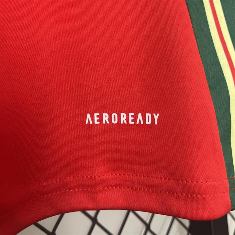 2024 Wales Home Jersey Fan Version