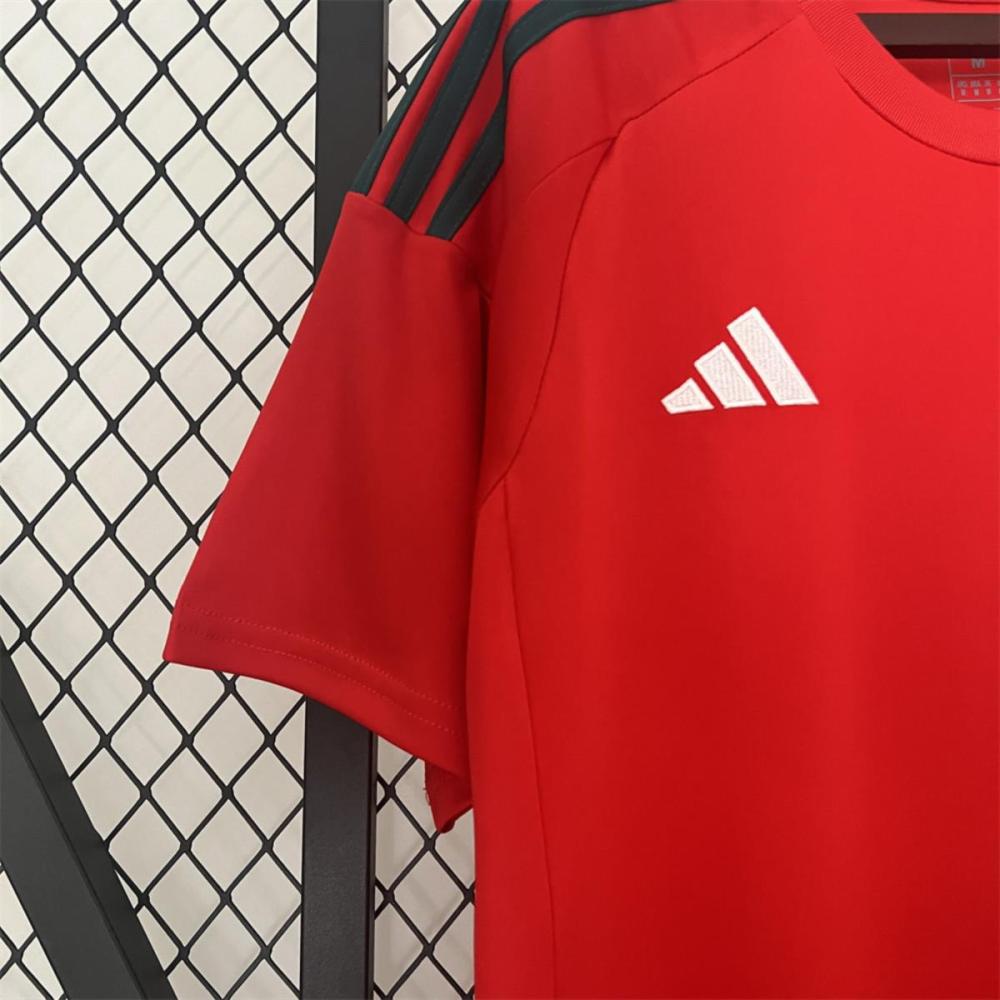 2024 Wales Home Jersey Fan Version