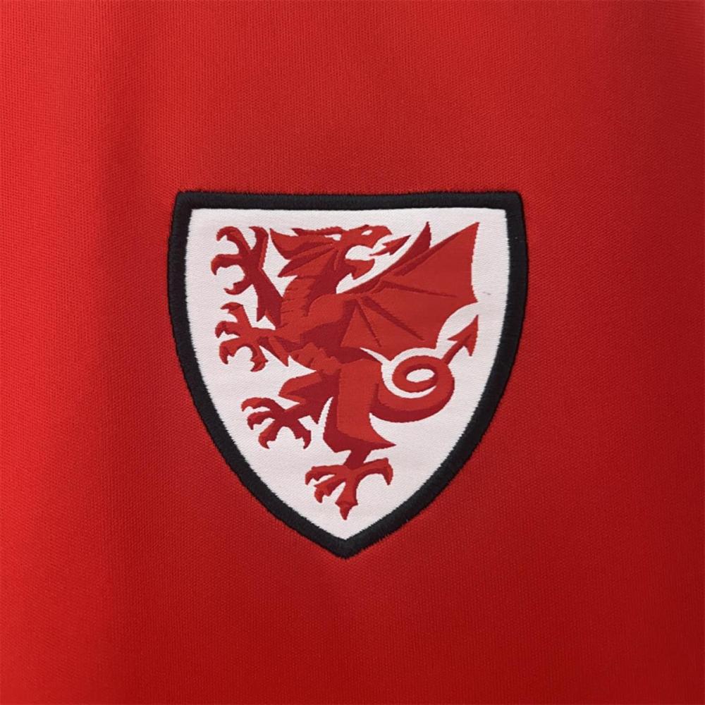 2024 Wales Home Jersey Fan Version