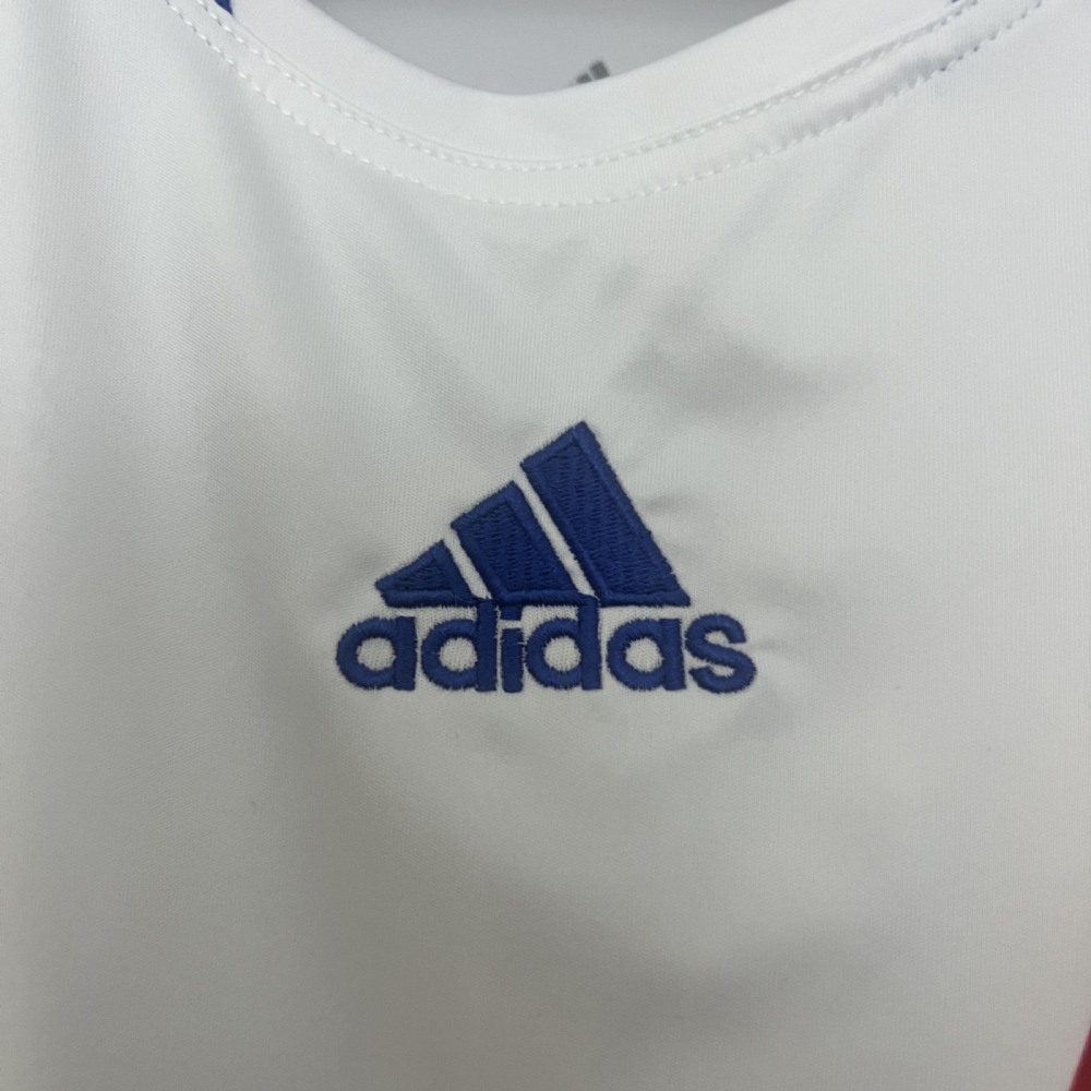 Retro Lyon 10/11 Home jersey Fan Version