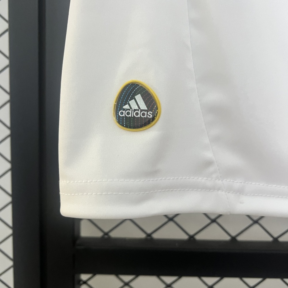 Retro Lyon 10/11 Home jersey Fan Version