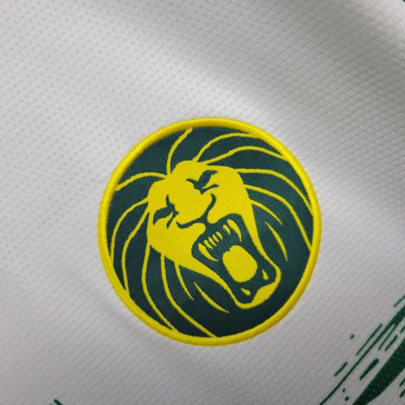 25/26 Cameroon Second Away Jersey Fan Version