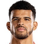 #19 Solanke