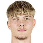 #33 Rothweiler