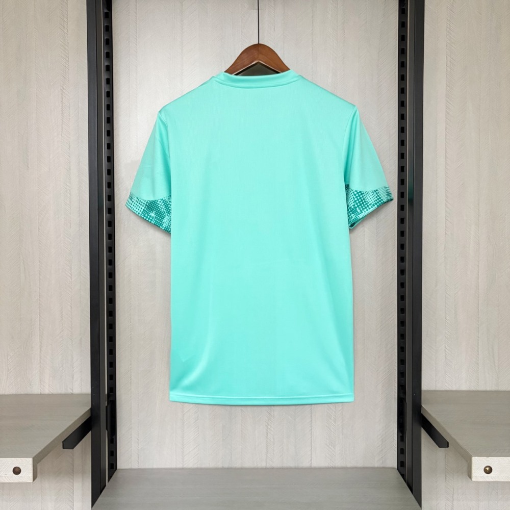2026/27 Palmeiras Goalkeeper Green Jersey Fan Version
