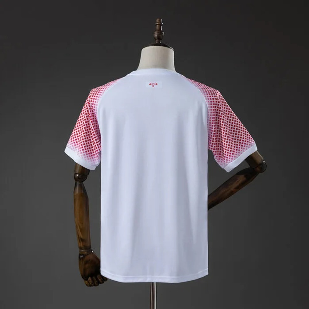 Jordan National Team 2026 World Cup Home Jersey Fan version