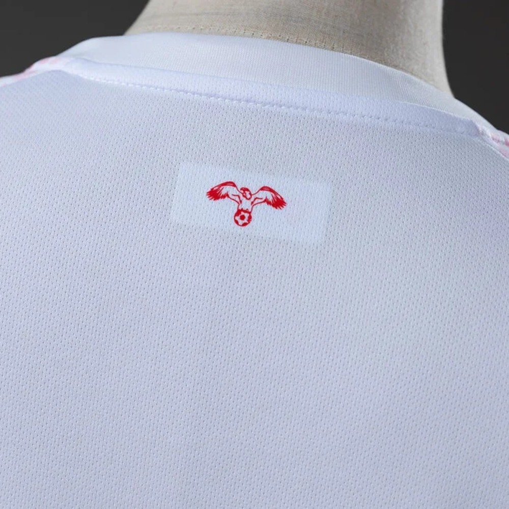 Jordan National Team 2026 World Cup Home Jersey Fan version