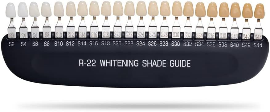 Professional 3D R-22 Dental Tooth Teeth Whitening Shade Guide for Dentist Tracking Teeth Whitening Course, Tooth Shade Guide with 22 Colors