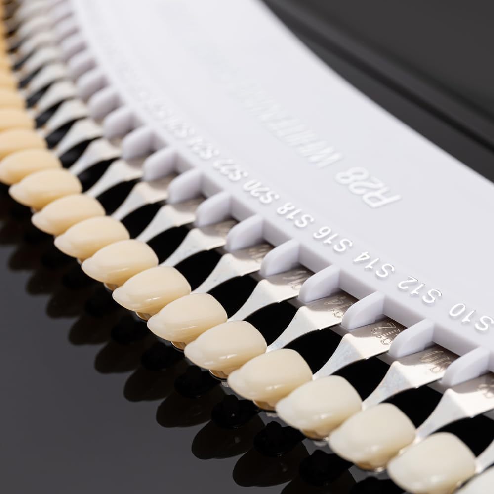 Professional 3D R-28 Dental Tooth Teeth Whitening Shade Guide for Dentist Tracking Teeth Whitening Course, Tooth Shade Guide with 28 Colors