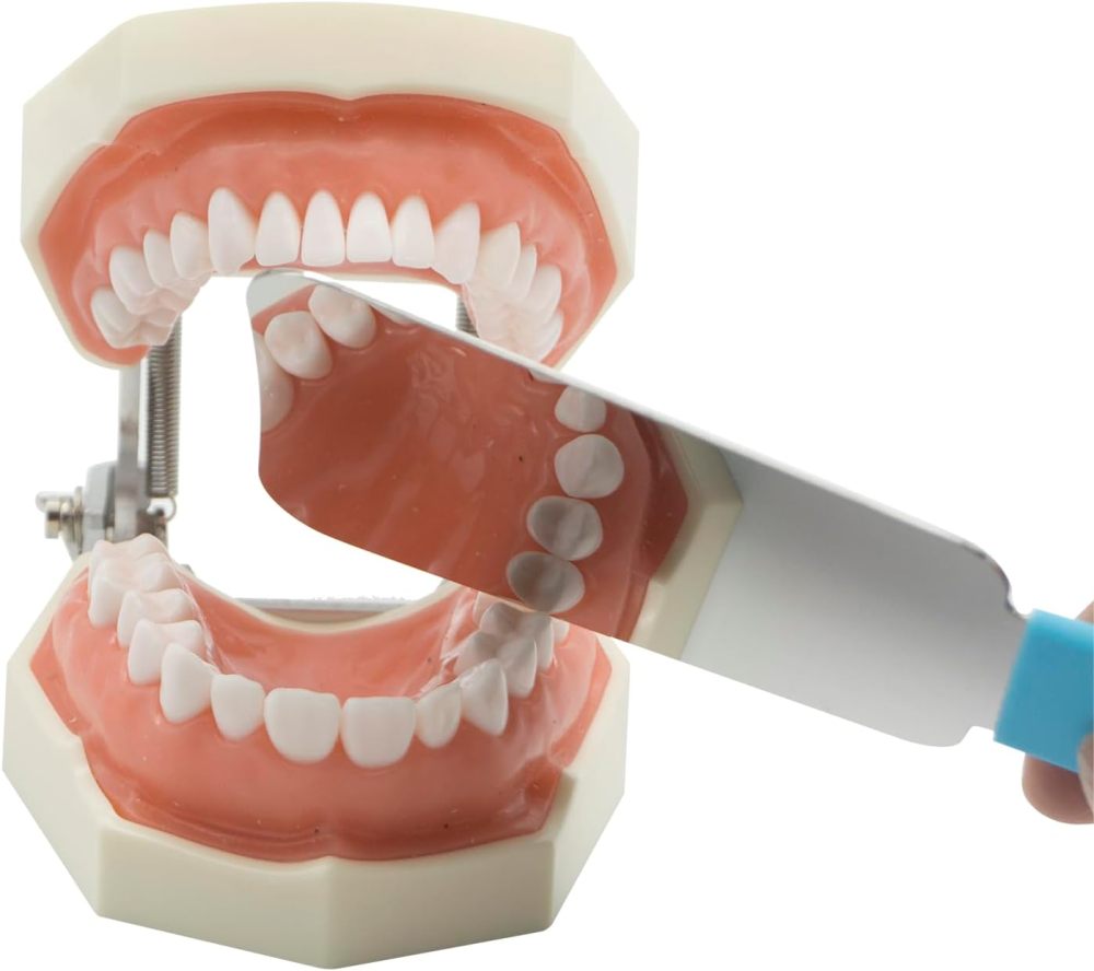 2 Sided Pofessional Dental Occlusal Photographic Mouth Mirror Rhodium Dental Plated  Intraoral Photo Reflector with silica handle  Dentist recommed