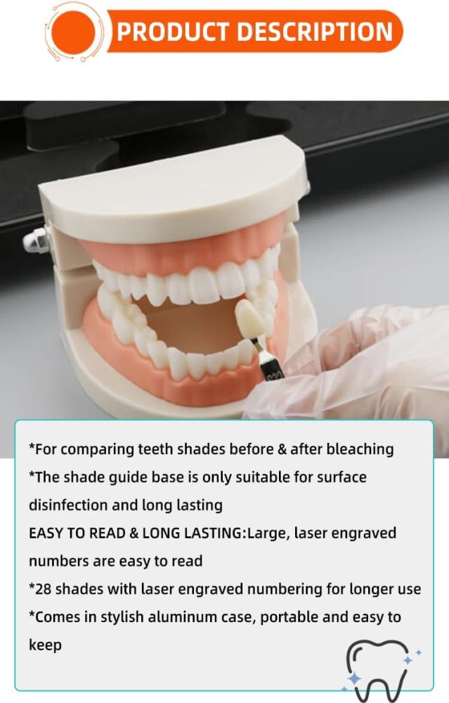 Professional 3D R-28 Dental Tooth Teeth Whitening Shade Guide for Dentist Tracking Teeth Whitening Course, Tooth Shade Guide with 28 Colors