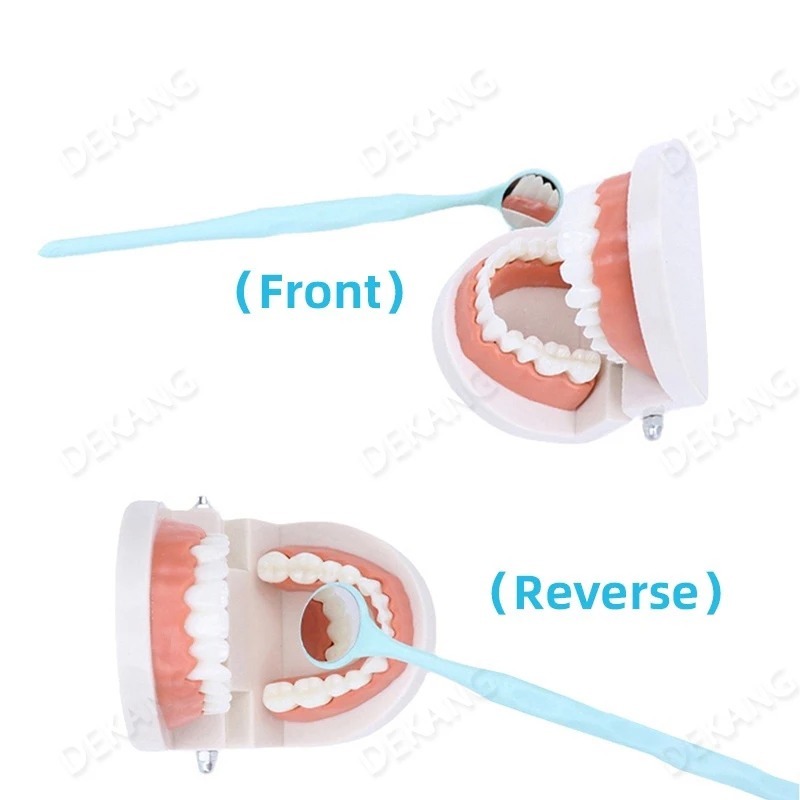 Advanced fog-free technology for clear visibility Equipped with quick fog removal feature, this oral mirror ensures a clear, distortion-free view during examinations. Ideal for precise use in clinical or personal settings without image interference. High-