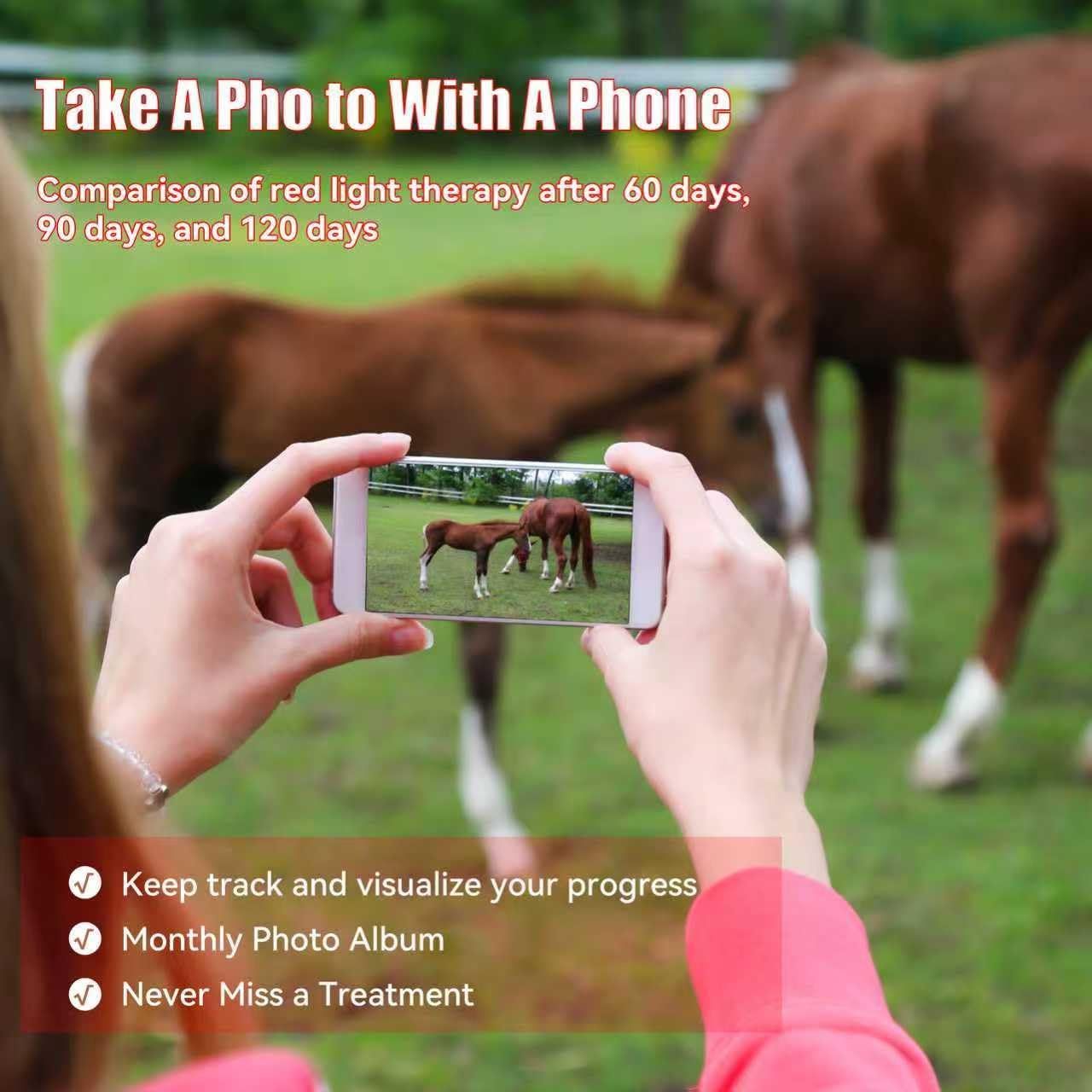 Infrared Light Therapy for Horses,Therapy for Horse Leg Stifle Pain(2 Pcs)