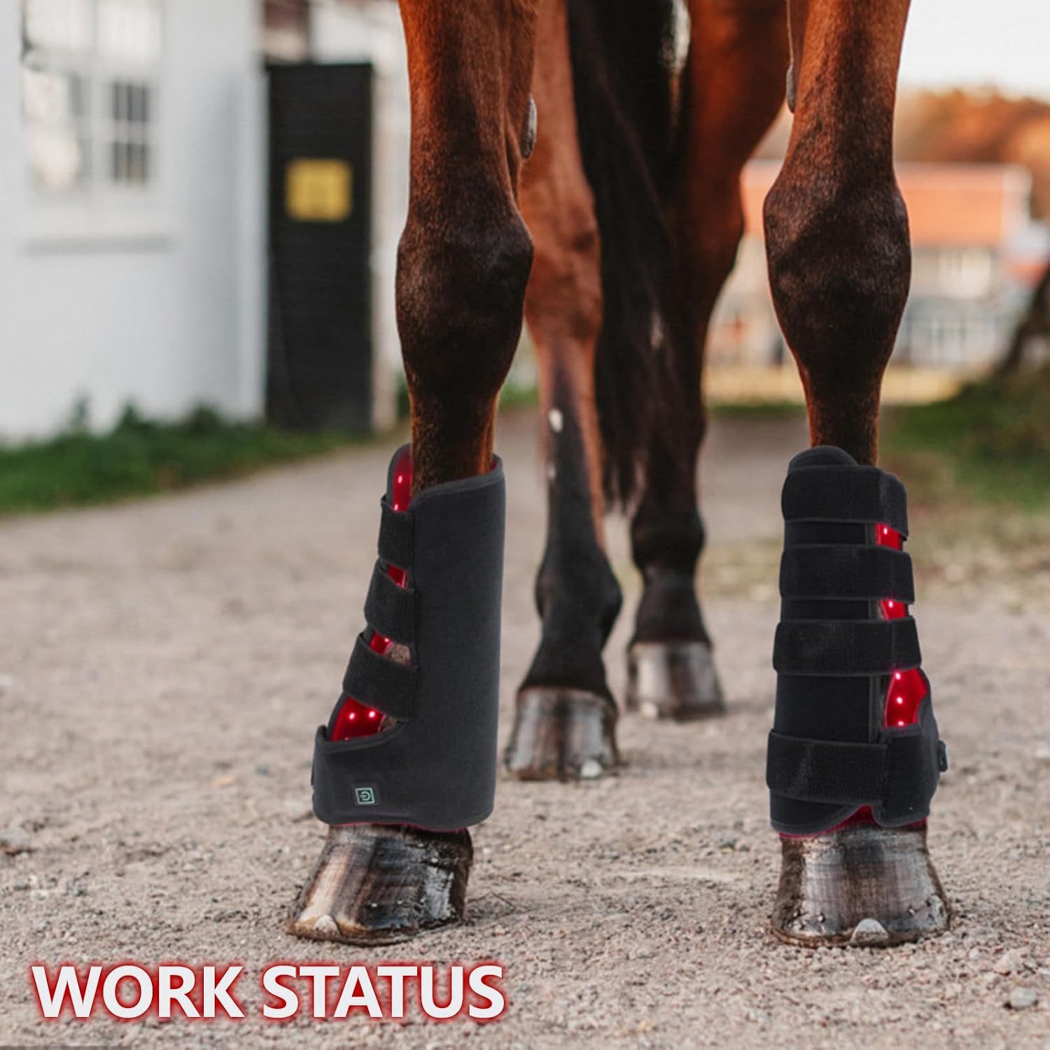 Infrared Light Therapy for Horses,Therapy for Horse Leg Stifle Pain(2 Pcs)