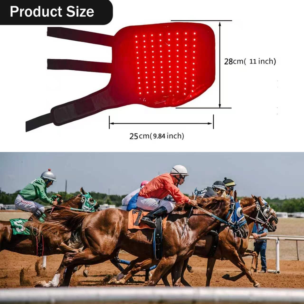 Infrared Light Therapy for Horses,Therapy for Horse Leg Stifle Pain(2 Pcs)