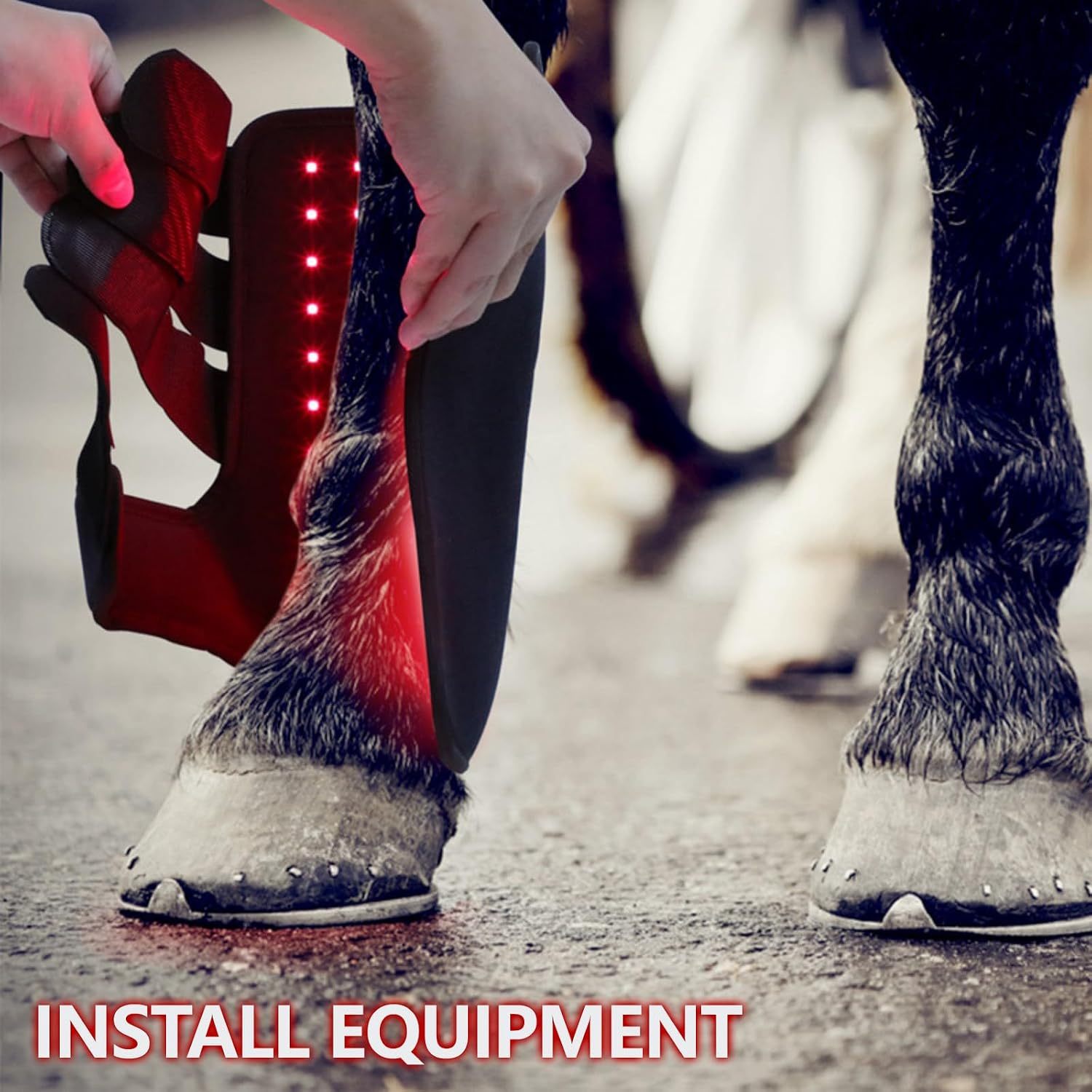 Infrared Light Therapy for Horses,Therapy for Horse Leg Stifle Pain(2 Pcs)