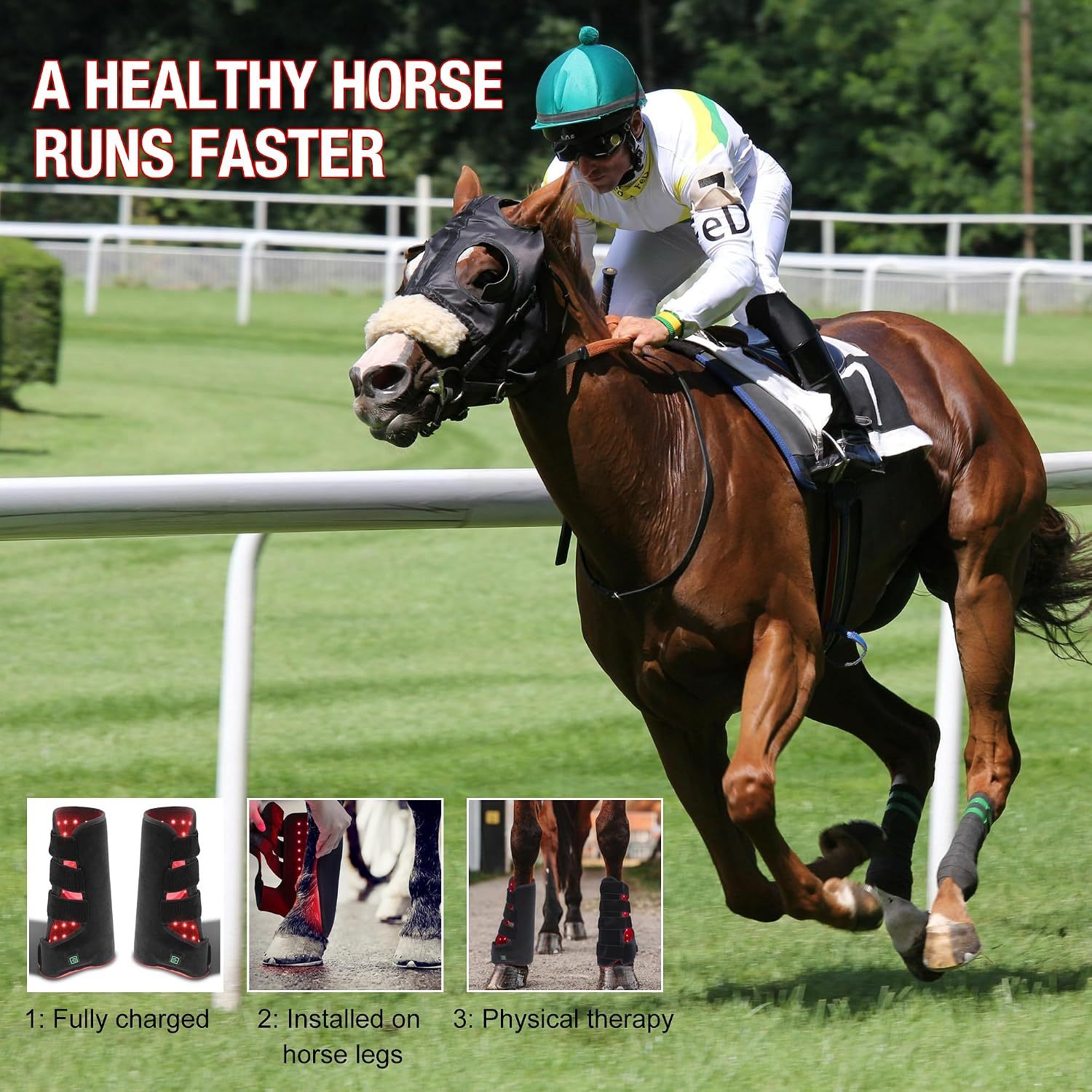 Infrared Light Therapy for Horses,Therapy for Horse Leg Stifle Pain(2 Pcs)