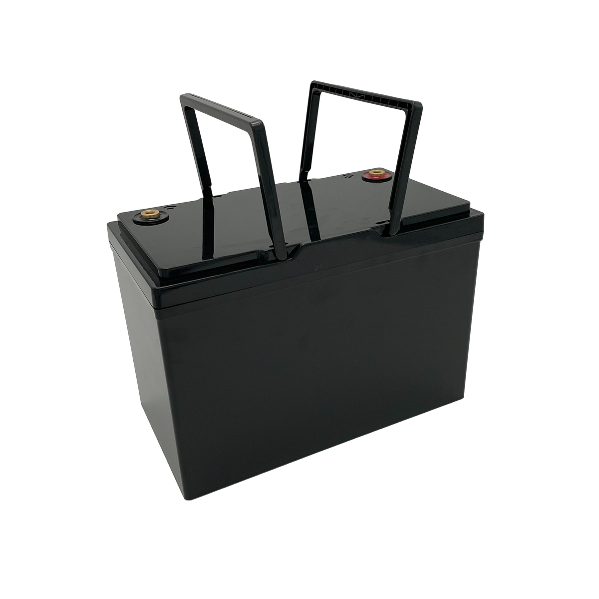 RisunPower RP12100LR 12.8V 100Ah 1280Wh LiFePO4 Lithium Battery replace Lead-acid battery portable power station