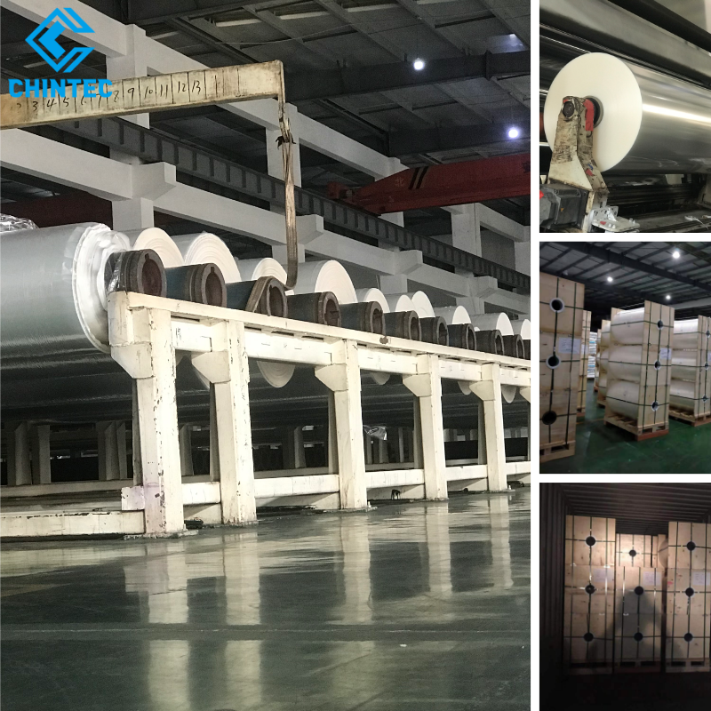 Excellent Printing Adaptability Biodegradable Packaging PLA Plastic Film For Label Shrink Sleeves