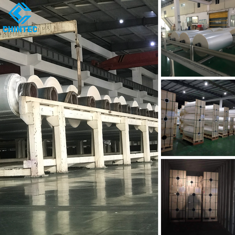 Transparent Biodegradable Flexible Packaging Material Heat Sealable BOPLA Film for Lidding and Foods