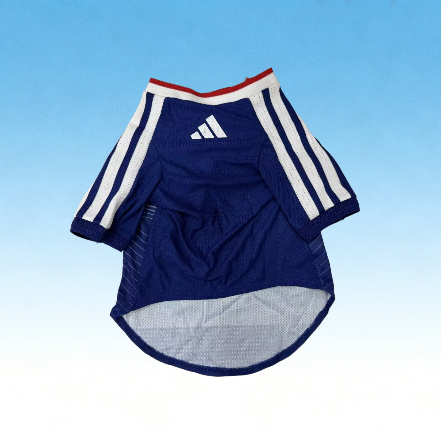 2026 Japan (pet dog) Home Player Version