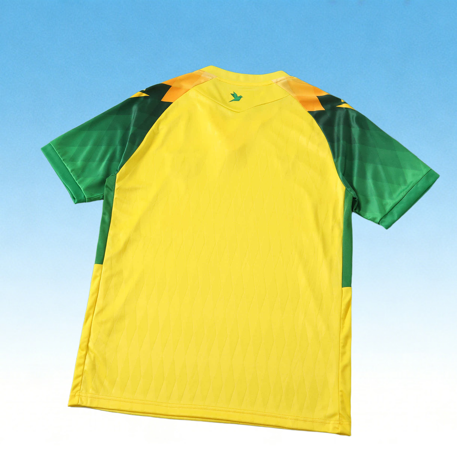 2627 Nantes  Home Fan version