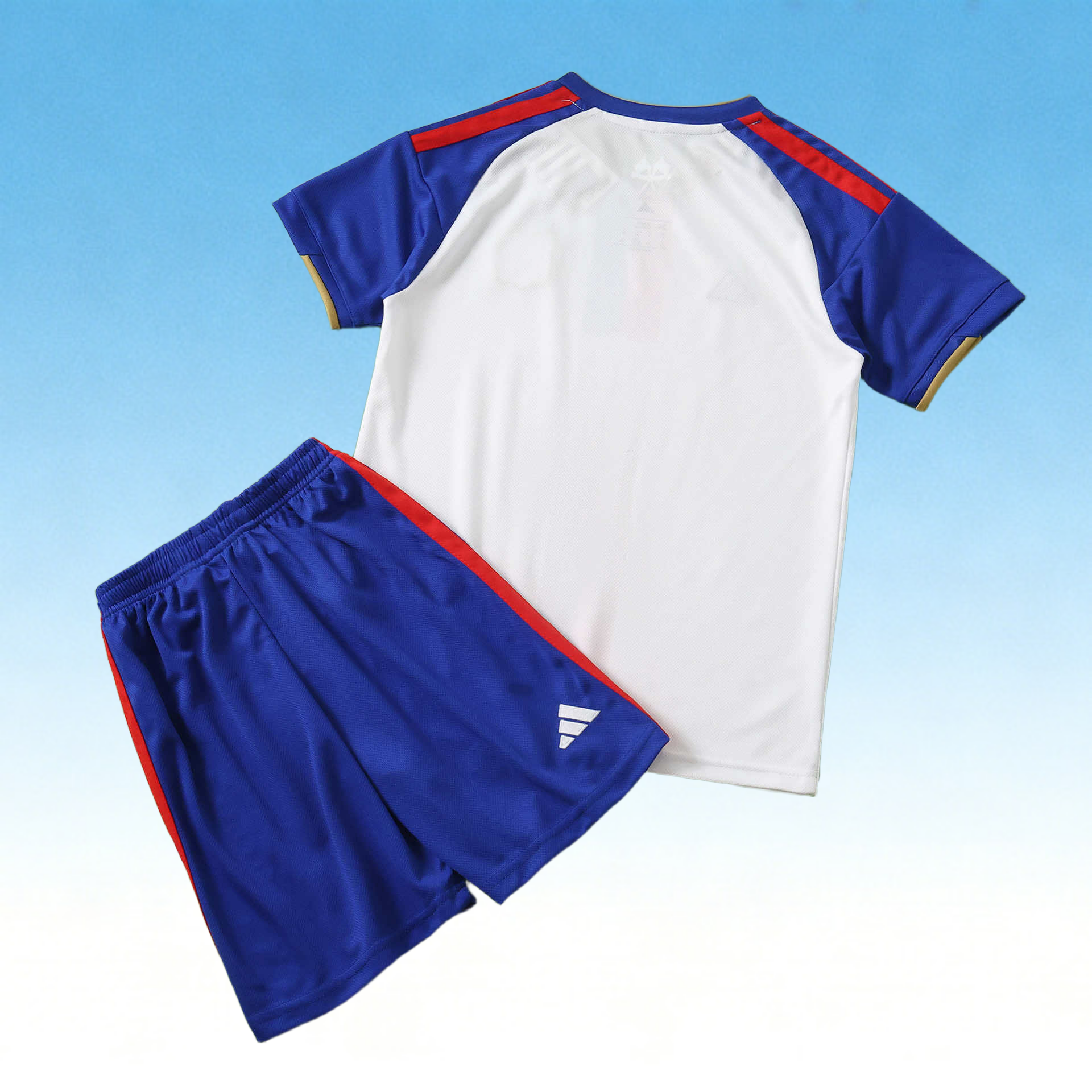 2627 Lyon Home Kids Kit