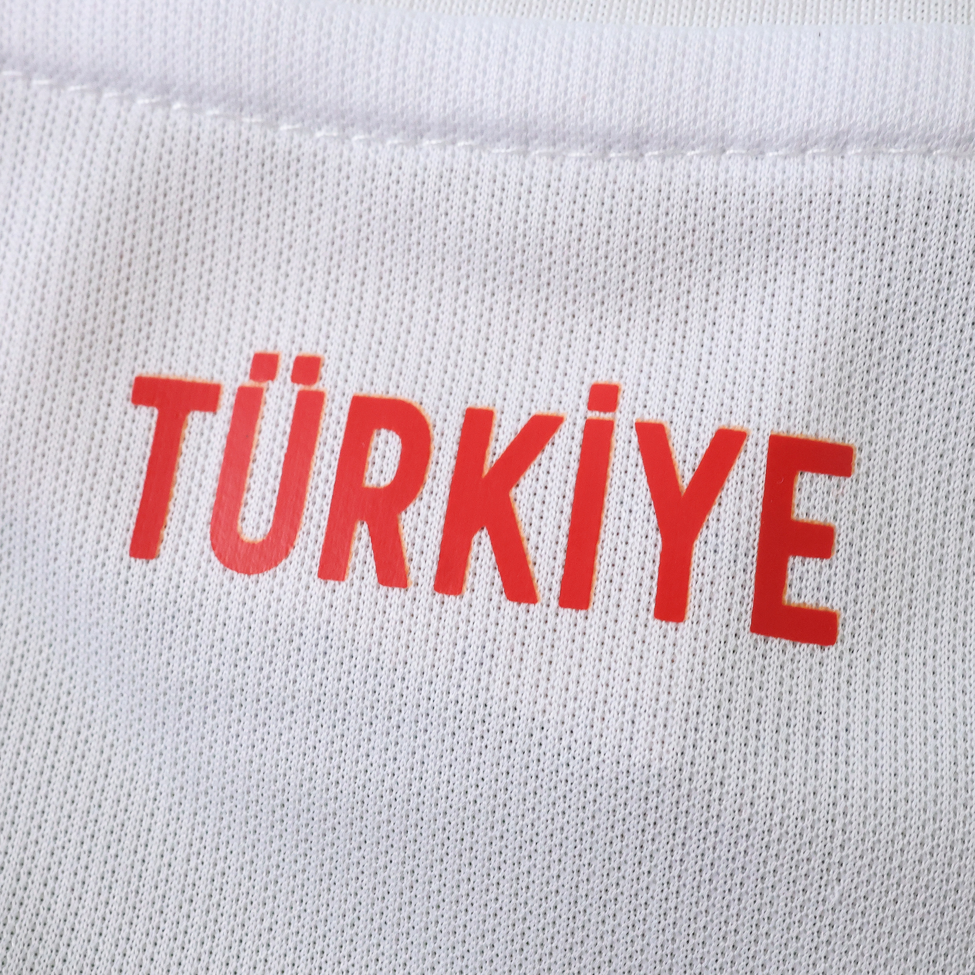 2026 Türkiye Home Fan version