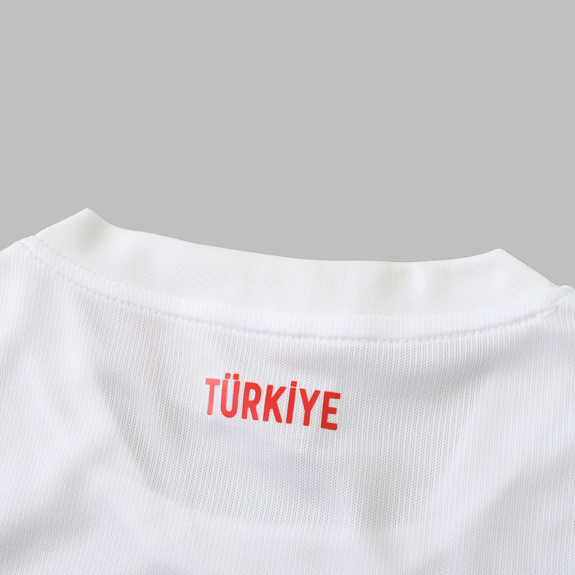2026 Türkiye Home Fan version